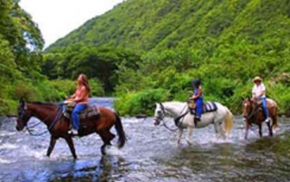  Reiten